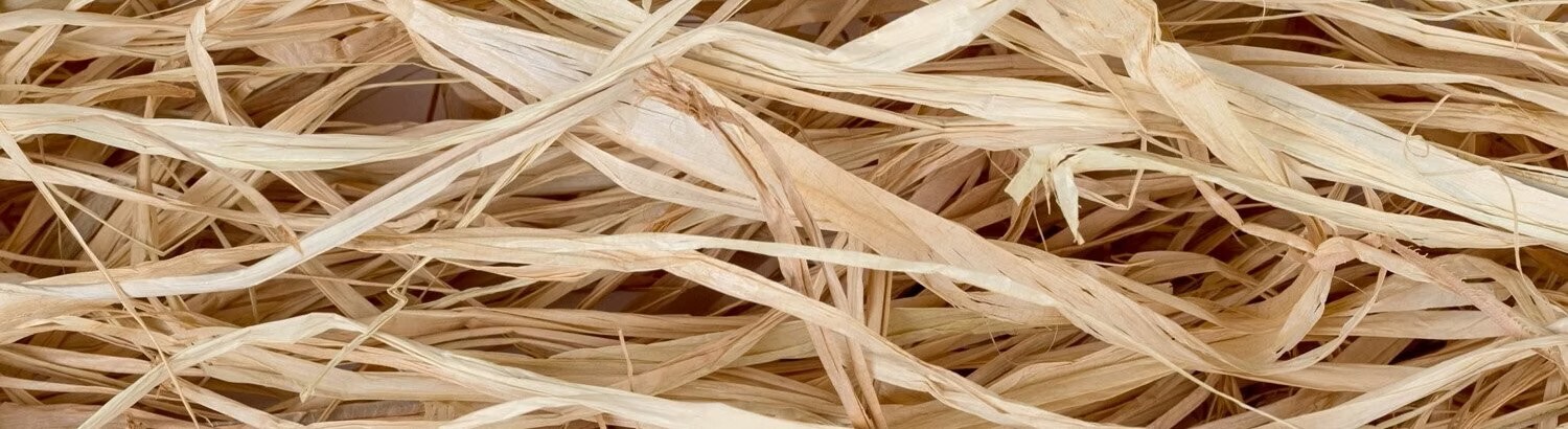 持続可能性 ヘンプ